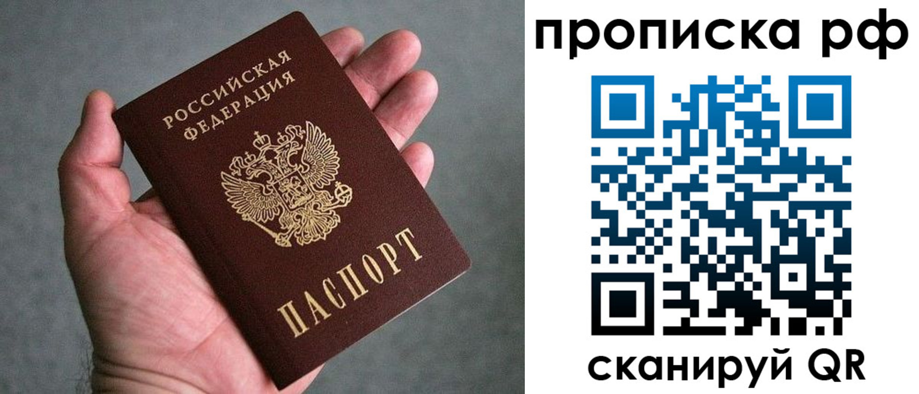 прописка поиск в Бронницах
